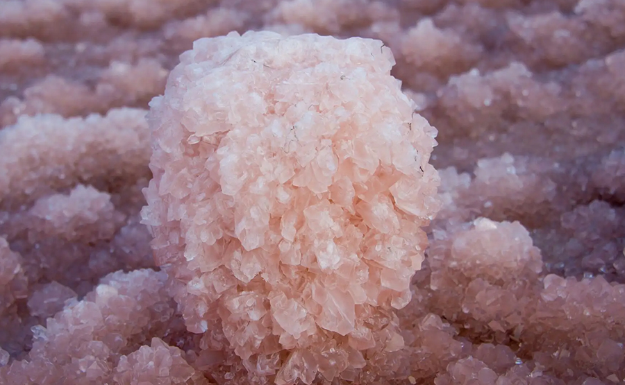 臥螺離心機(jī)在結(jié)晶分離中的應(yīng)用(圖1) undefined